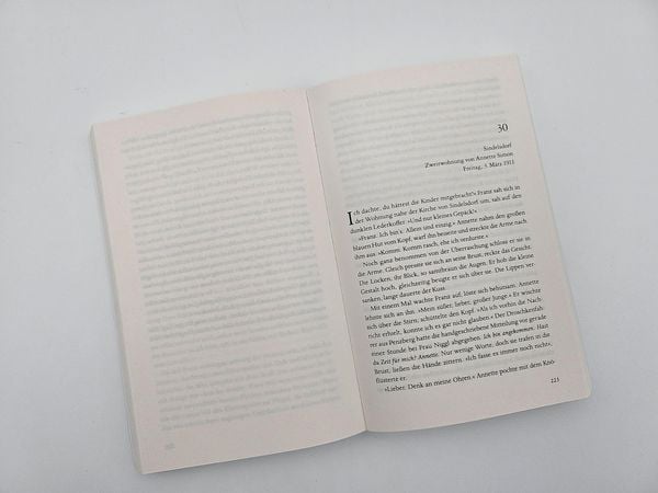 Produktbild: Der Maler und das reine Blau des Himmels