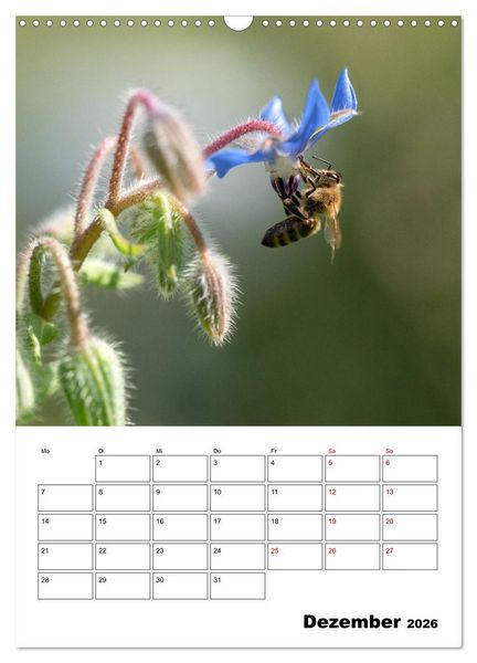 Produktbild: Hummeln und Bienen Terminplaner (Wandkalender 2026 DIN A3 hoch), CALVENDO Monatskalender