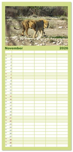 Produktbild: Familienplaner 2026 - Afrika - Namibia mit 5 Spalten (Wandkalender, 21 x 45 cm) CALVENDO