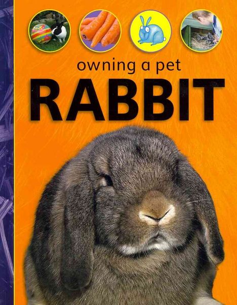 Produktbild: Rabbit