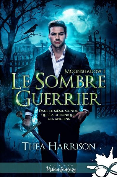 Produktbild: Le sombre guerrier