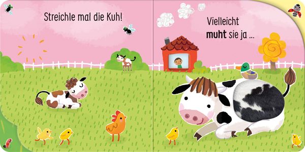 Produktbild: Streicheln und Lauschen: Ich grunze! Glaubst du nicht? Dann kraule mich!