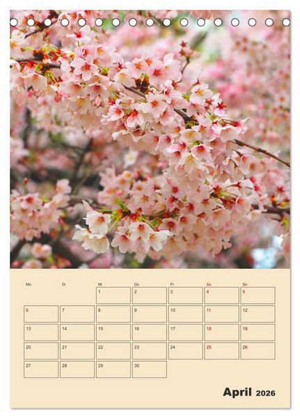 Produktbild: Tokio - Terminplaner (Tischkalender 2026 DIN A5 hoch), CALVENDO Monatskalender