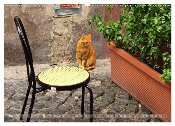 Produktbild: Rom - der gem&uuml;tliche Stadtteil Trastevere (Wandkalender 2026 DIN A2 quer), CALVENDO Monatskalender