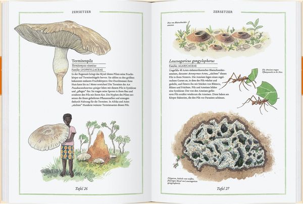 Produktbild: Steinpilz, Tr&uuml;ffel, Pfifferling