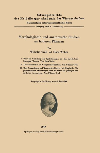 Produktbild: Morphologische und anatomische Studien an h&ouml;heren Pflanzen