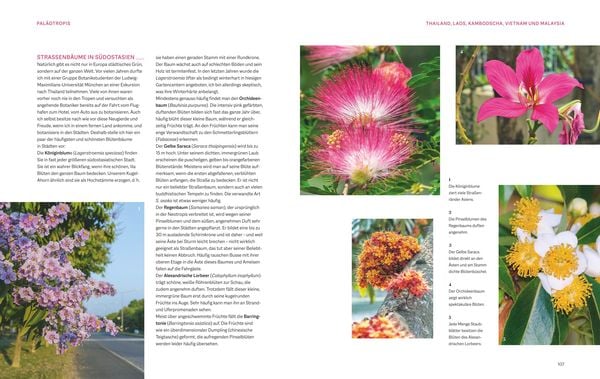 Produktbild: Die Welt in voller Bl&uuml;te: Eine botanische Entdeckungsreise zu den sch&ouml;nsten Bl&uuml;tenpflanzen der Welt