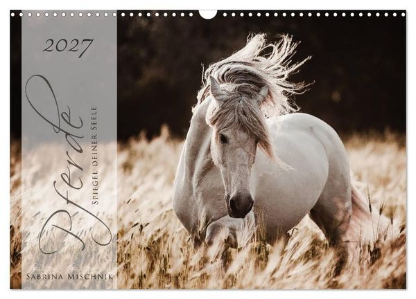 Produktbild: Pferde - Spiegel deiner Seele (Wandkalender 2027 DIN A3 quer), CALVENDO Monatskalender
