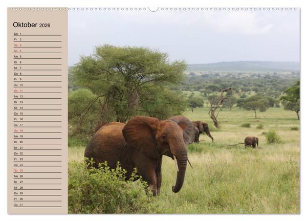 Produktbild: Elefanten in freier Wildbahn (Wandkalender 2026 DIN A2 quer), CALVENDO Monatskalender