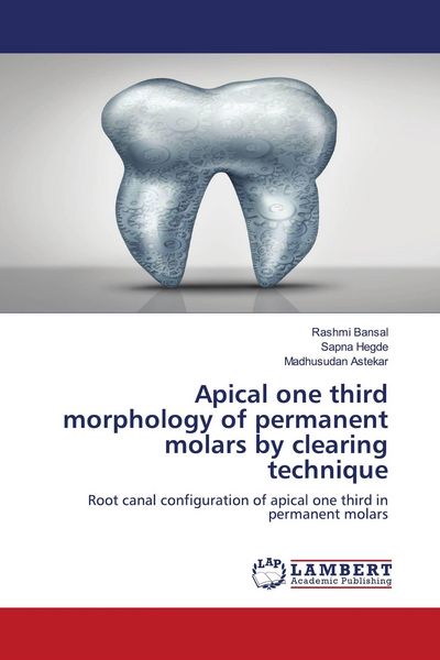 Produktbild: Apical one third morphology of permanent molars by clearing technique