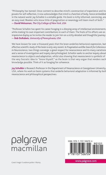 Produktbild: Pragmatism and the Search for Coherence in Neuroscience