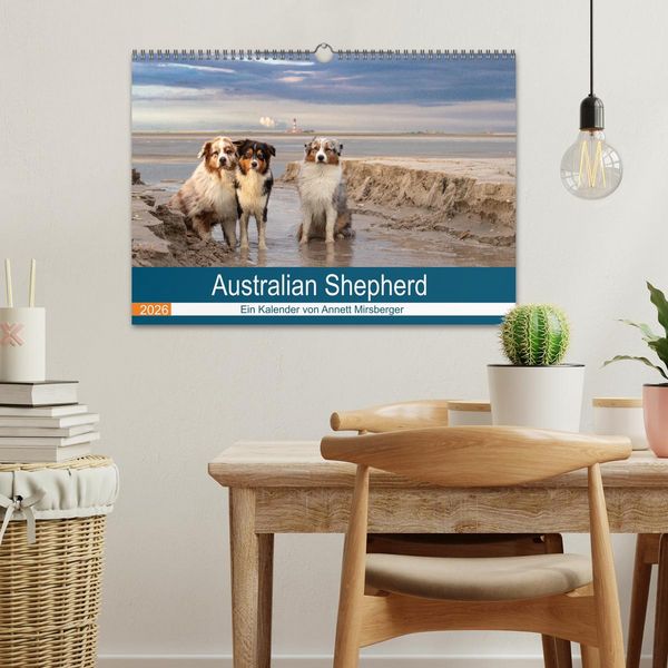 Produktbild: Australian Shepherd 2026 (Wandkalender 2026 DIN A3 quer), CALVENDO Monatskalender