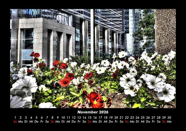 Produktbild: Blumentr&auml;ume 2026 Fotokalender DIN A3