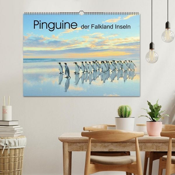 Produktbild: Pinguine der Falkland Inseln (Wandkalender 2026 DIN A2 quer), CALVENDO Monatskalender
