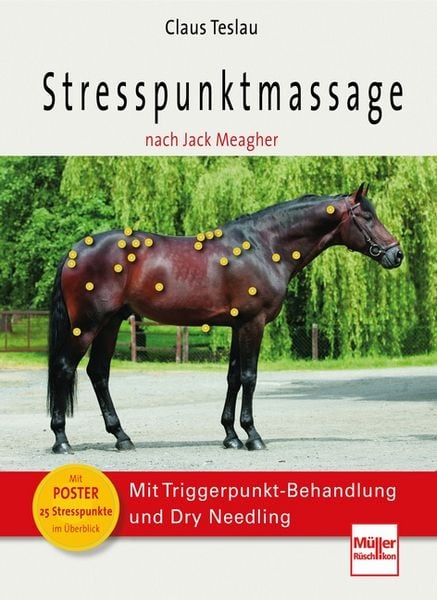 Produktbild: Stresspunktmassage nach Jack Meagher