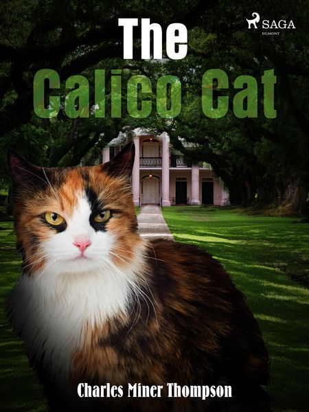 Produktbild: The Calico Cat