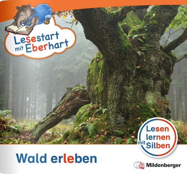 Produktbild: Lesestart mit Eberhart - Wald erleben