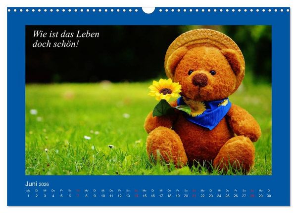 Produktbild: Sommer im Teddy-Land. B&auml;r und Freunde (Wandkalender 2026 DIN A3 quer), CALVENDO Monatskalender