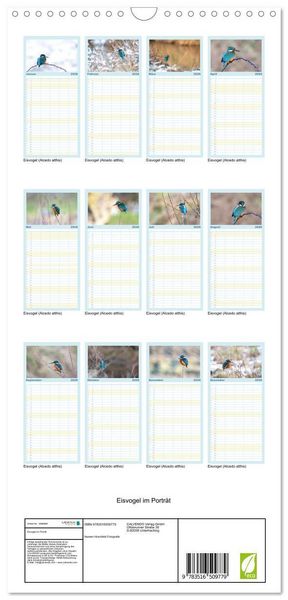 Produktbild: Familienplaner 2026 - Eisvogel im Portr&auml;t mit 5 Spalten (Wandkalender, 21 x 45 cm) CALVENDO