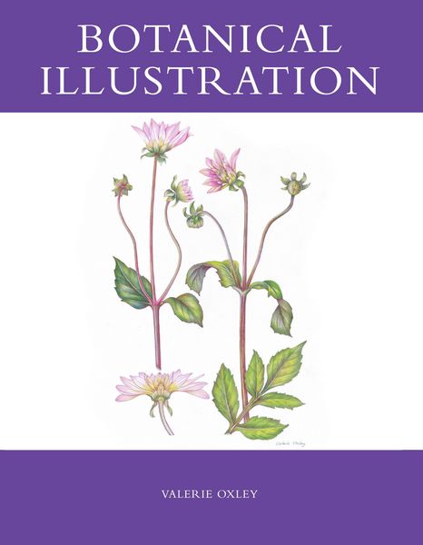 Produktbild: Botanical Illustration