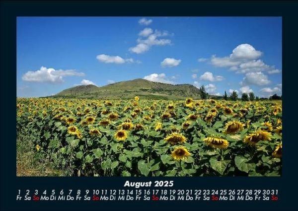 Produktbild: Blumenzauber 2025 Fotokalender DIN A5