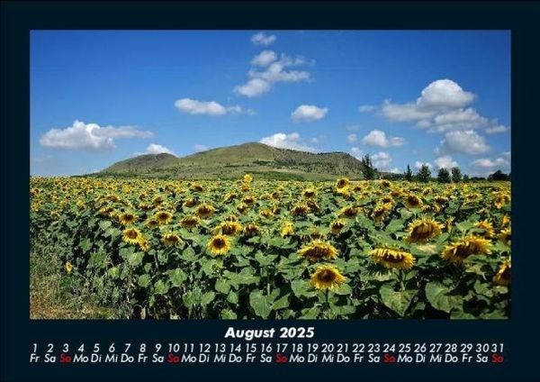 Produktbild: Blumenzauber 2025 Fotokalender DIN A5