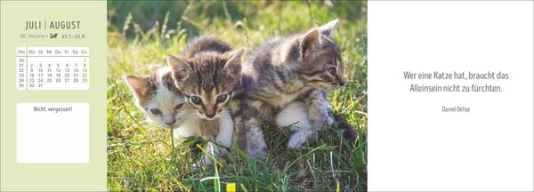 Produktbild: Katzen Premium-Tischplaner 2027 - Der literarische Wochenkalender mit Zitaten
