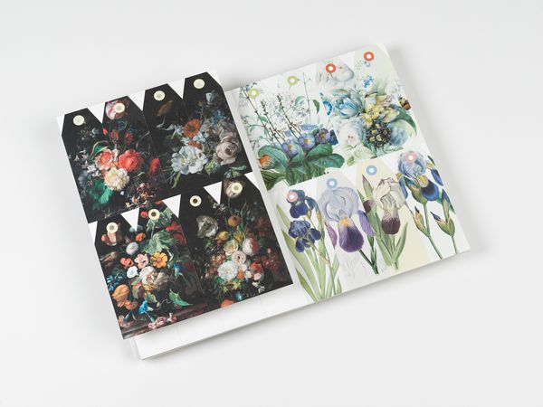 Produktbild: Flowers