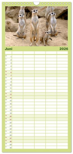 Produktbild: Familienplaner 2026 - Erdm&auml;nnchen mit 5 Spalten (Wandkalender, 21 x 45 cm) CALVENDO