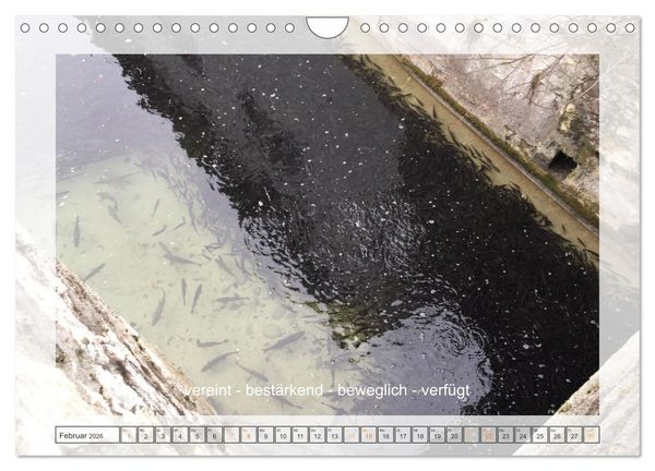 Produktbild: Entdeckend: Natur - Energie - Zufriedenheit (Wandkalender 2026 DIN A4 quer), CALVENDO Monatskalender