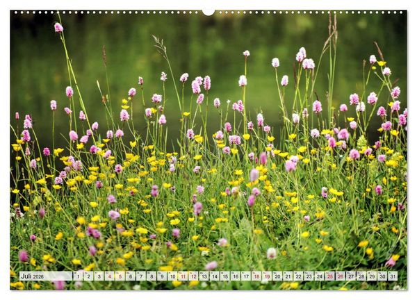 Produktbild: Georgien - Kirchen Kl&ouml;ster Kaukasus (Wandkalender 2026 DIN A2 quer), CALVENDO Monatskalender