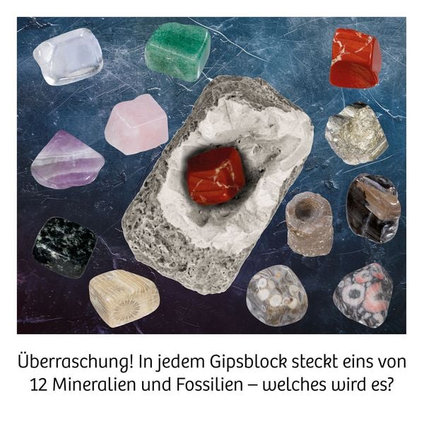 Produktbild: Ausgrabung Mineralien