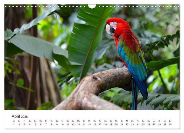 Produktbild: Kolumbien - Eine unvergessliche Reise durch das bunte Land. (Wandkalender 2026 DIN A3 quer), CALVENDO Monatskalender