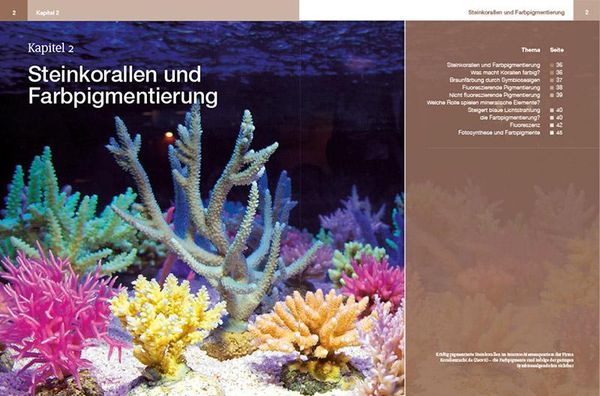 Produktbild: Steinkorallen im Aquarium Band 2