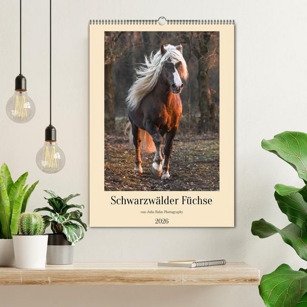 Produktbild: Schwarzw&auml;lder F&uuml;chse von Julia Hahn Photography (Wandkalender 2026 DIN A2 hoch), CALVENDO Monatskalender
