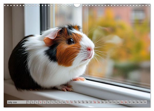 Produktbild: Guinea Pigs with Happy Squeal (Wall Calendar 2026 DIN A3 landscape), CALVENDO 12 Month Wall Calendar