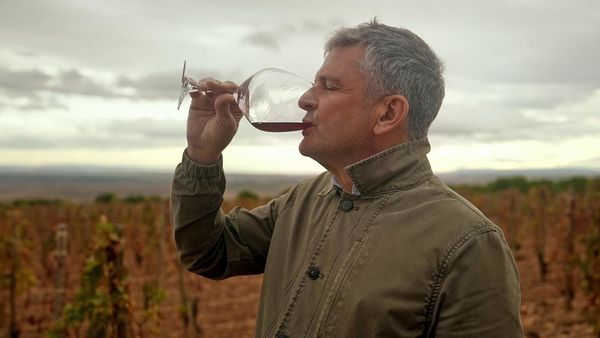 Produktbild: Das Land der tausend Weine (OmU)