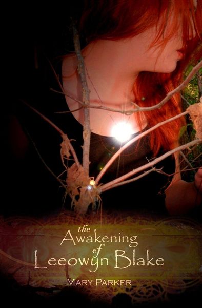 Produktbild: The Awakening of Leeowyn Blake