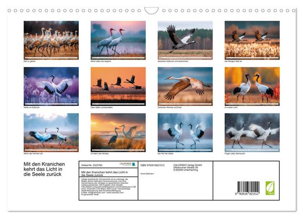 Produktbild: Mit den Kranichen kehrt das Licht in die Seele zur&uuml;ck (Wandkalender 2027 DIN A3 quer), CALVENDO Monatskalender