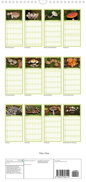 Produktbild: Familienplaner Pilze, Pilze (Wandkalender 2022 , 21 cm x 45 cm, hoch)