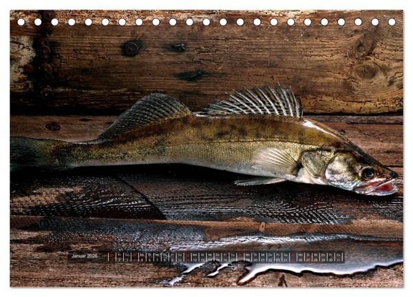 Produktbild: UNSER FISCH. S&Uuml;&szlig;WASSER. (Tischkalender 2026 DIN A5 quer), CALVENDO Monatskalender