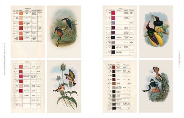 Produktbild: Die Natur der Farben