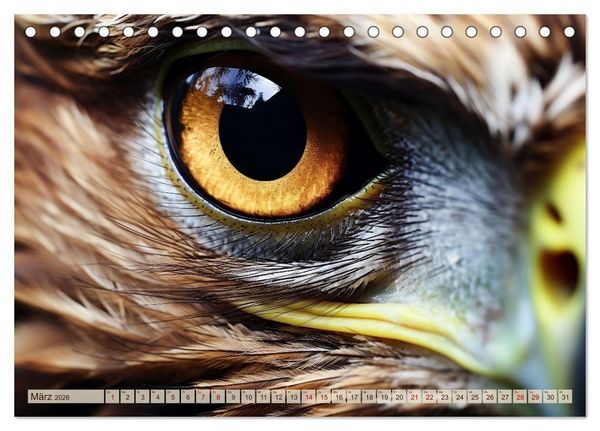 Produktbild: Schau mir ins Auge (Tischkalender 2026 DIN A5 quer), CALVENDO Monatskalender