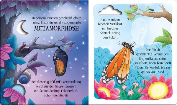 Produktbild: Schau mal, wie ich wachse! Von der Raupe zum Schmetterling