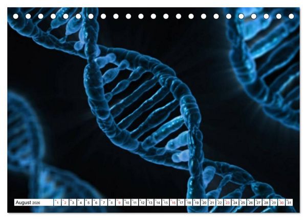 Produktbild: Mikrobiologie. Mikroorganismen, Genetik und Zellen (Tischkalender 2026 DIN A5 quer), CALVENDO Monatskalender