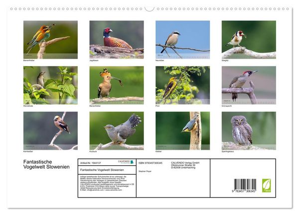 Produktbild: Fantastische Vogelwelt Slowenien (hochwertiger Premium Wandkalender 2026 DIN A2 quer), Kunstdruck in Hochglanz