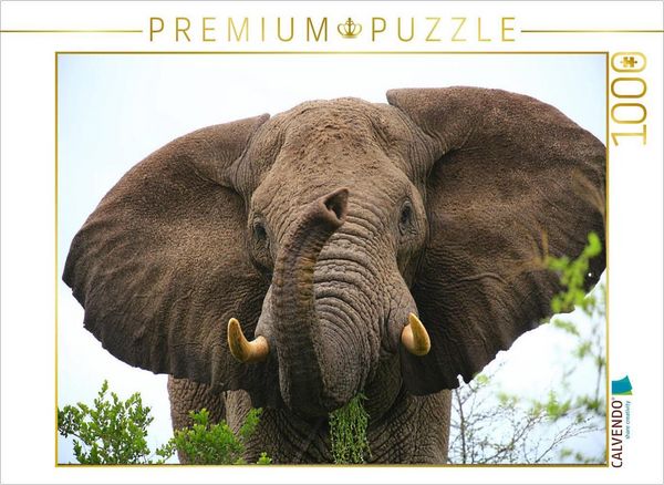 "CALVENDO Puzzle Ein Motiv aus dem Kalender ""Botswana- ungezähmte Natur"" | 1000 Teile Lege-Größe 64x48cm Foto-Puzzle für glückliche Stunden"