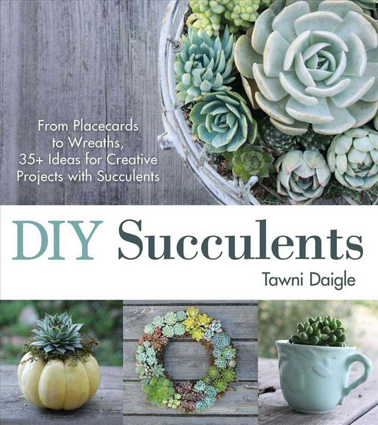 Produktbild: Daigle, T: DIY Succulents