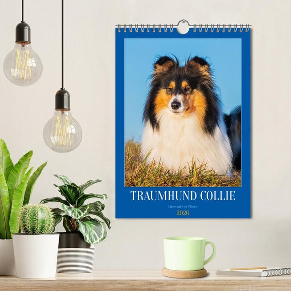 Produktbild: Traumhund Collie - Liebe auf vier Pfoten (Wandkalender 2026 DIN A4 hoch), CALVENDO Monatskalender