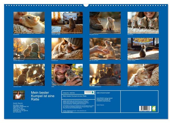 Produktbild: Mein bester Kumpel ist eine Ratte (Wandkalender 2026 DIN A2 quer), CALVENDO Monatskalender